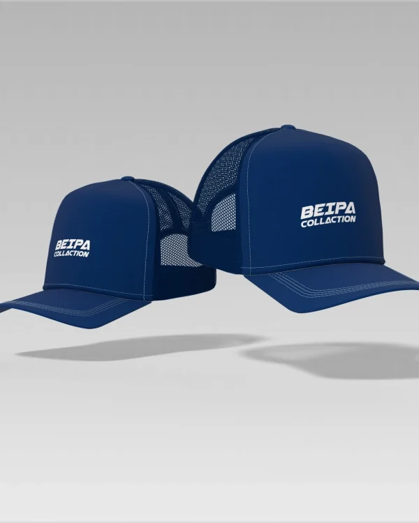 Topi